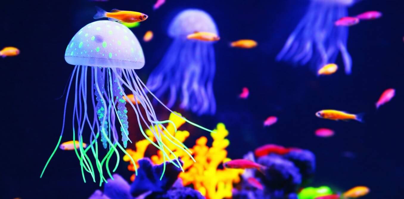 Медузы на дне океана